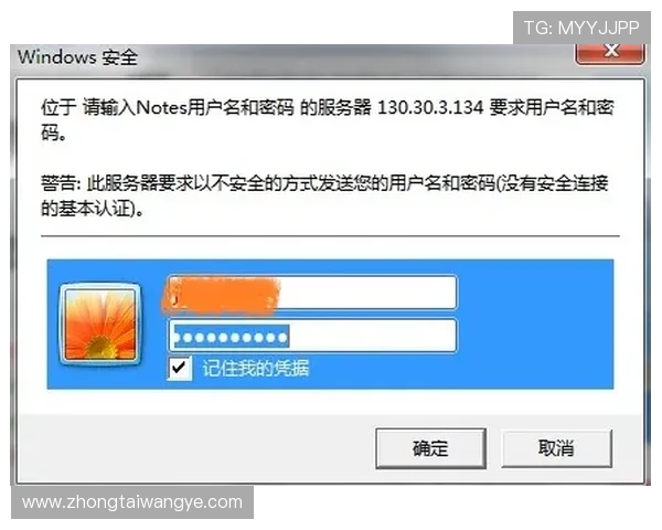 凯发网娱乐官网首页入口安全验证流程，保障玩家账号安全无忧